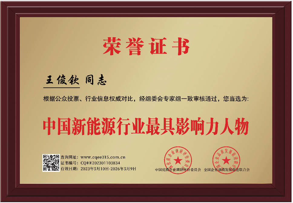 中国新能源行业具影响力人物